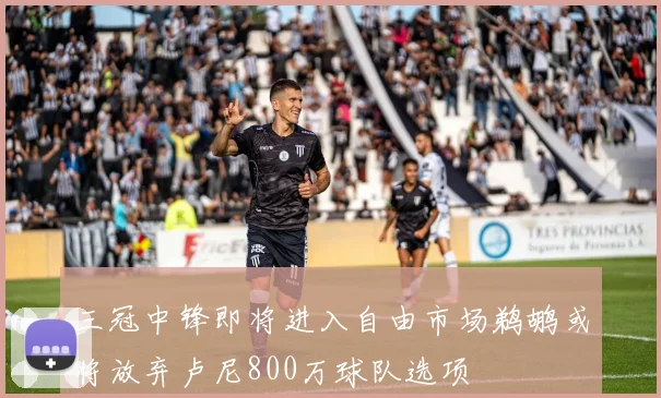 三冠中锋即将进入自由市场鹈鹕或将放弃卢尼800万球队选项