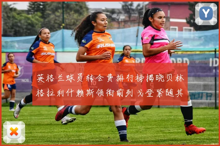 英格兰球员转会费排行榜揭晓贝林格拉利什赖斯领衔前列戈登紧随其后